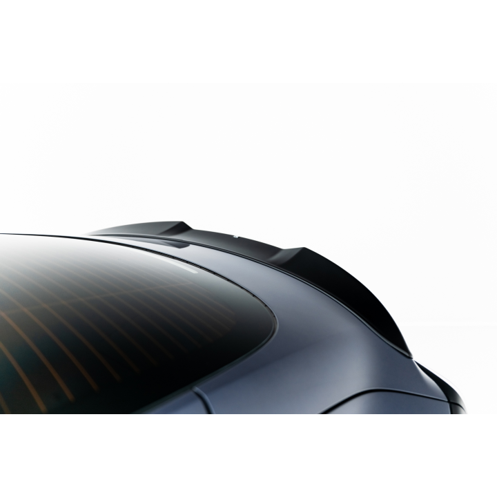Spoiler Cap  3D Tesla Model 3