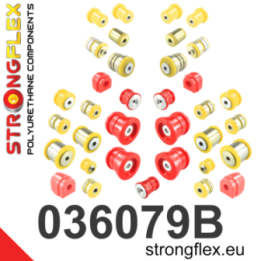 036079B: Kompletny zestaw zawieszenia Strongflex