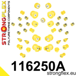 116250A: Kompletny zestaw zawieszenia SPORT Strongflex