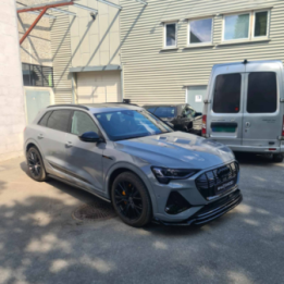 Dokładki Progów Audi e-Tron S-Line