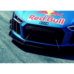 Canards(owiewki boczne zderzaka) Audi R8 Mk.2