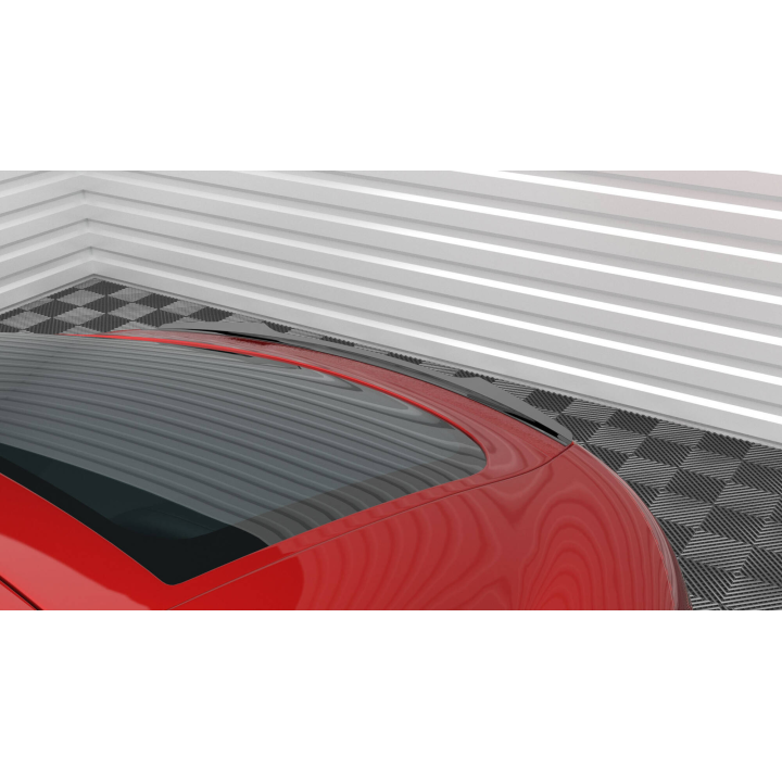 Spoiler Cap Audi TT 8J