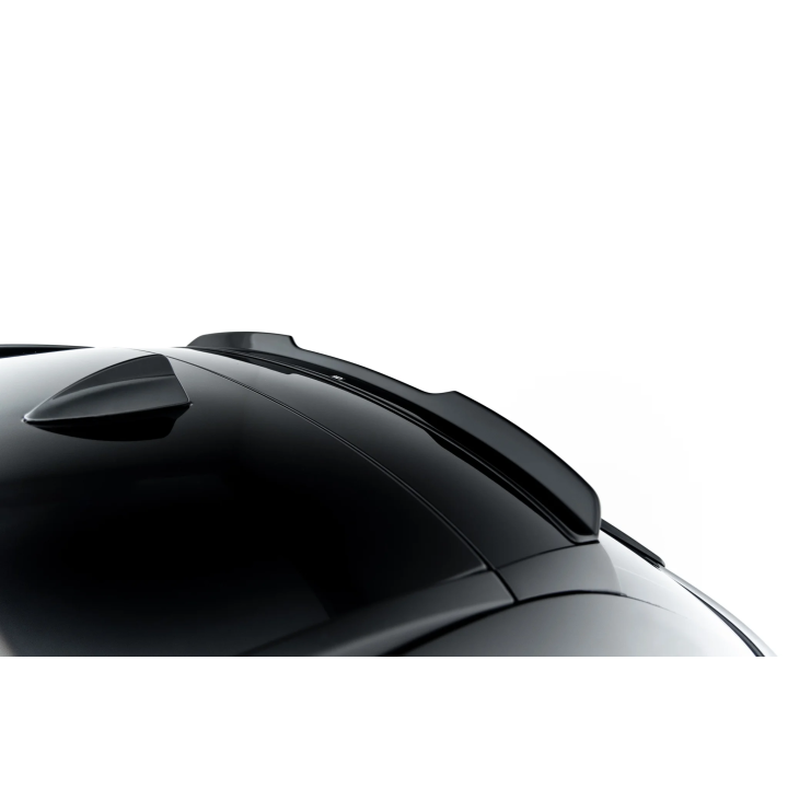 Spoiler Cap BMW 5 Touring F11