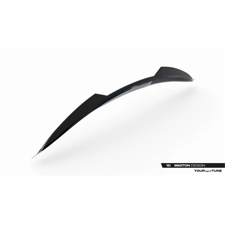 Spoiler Cap 3D BMW Z4 M-Pack E89