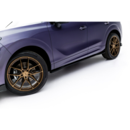 Dokładki Progów Cupra Terramar Mk1