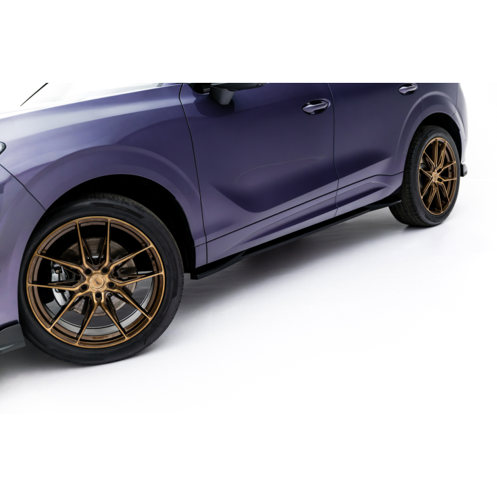 Dokładki Progów Cupra Terramar Mk1