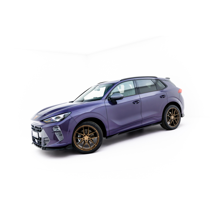 Dokładki Progów Cupra Terramar Mk1