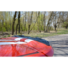 Spoiler Cap V.1 Ford Fiesta ST Mk6