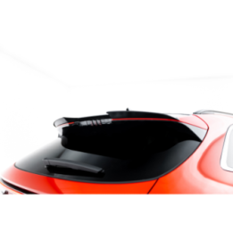 Spoiler Cap Forthing T-Five Mk1