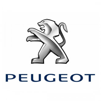 Peugeot Maxton Design